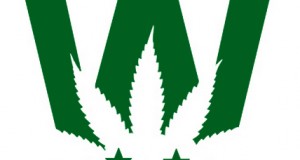 Weed Store Reviews Making Legal Marijuana Easy And Reliable Nationwide